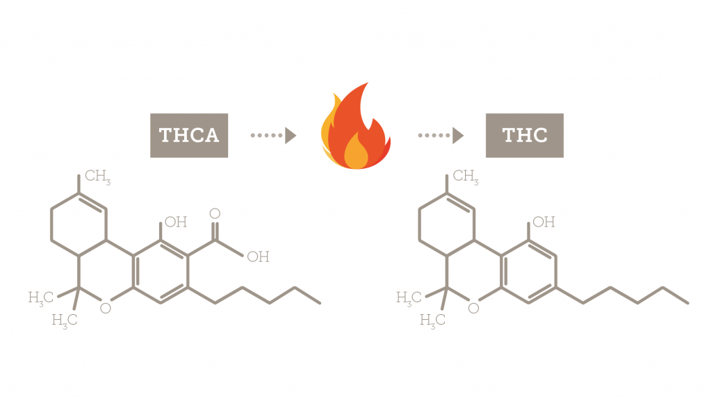 How to Assess THC and CBD Levels in Cannabis Strains and Products - CannaPlates